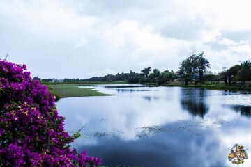 Land view from property