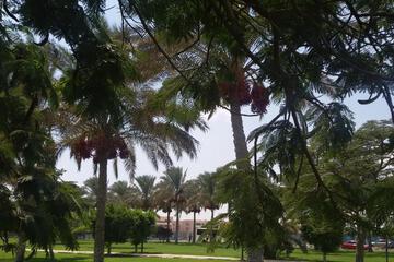 Photo 37