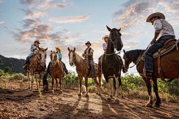 Horseback riding