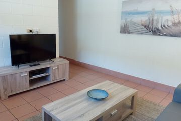 Television