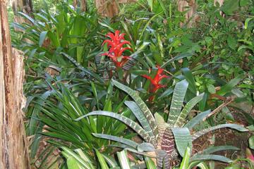 Photo 42