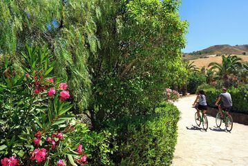 Bicycling