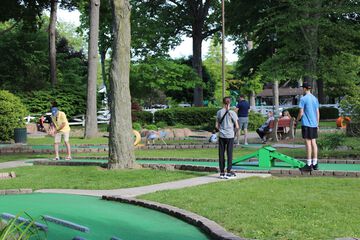 Mini-golf