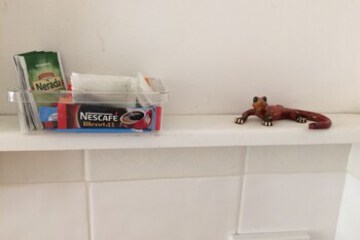 Coffee and or or Coffee Maker