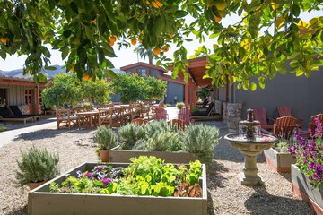 Courtyard