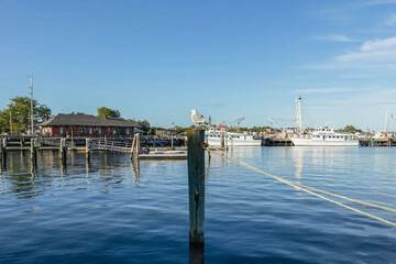 Dock