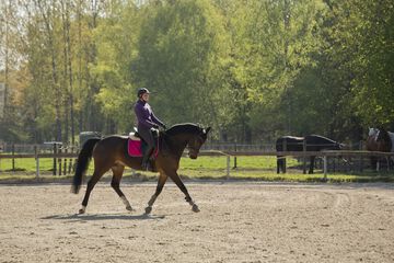 Horseback riding
