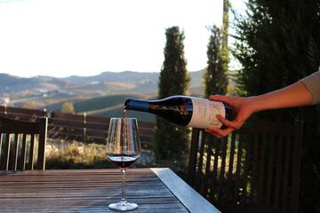 Vineyard