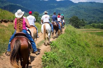 Land view from property