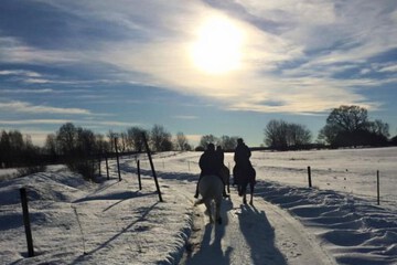 Horseback riding