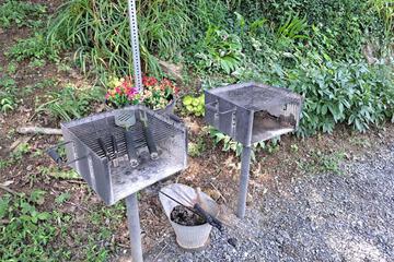 Photo 35