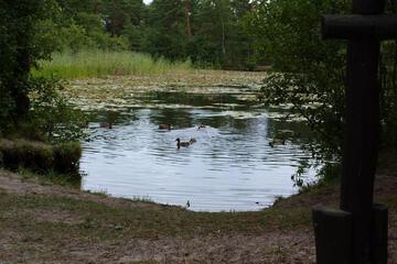 Photo 34