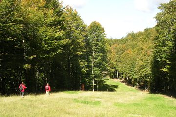 Hiking