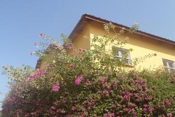 Photo 54