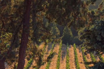 Hotel View 132 of 143