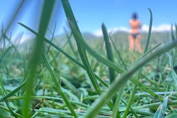 Photo 44