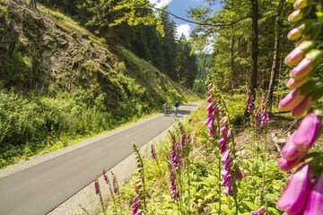 Bicycling