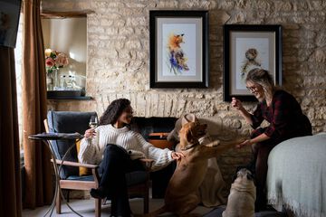Pet-friendly
