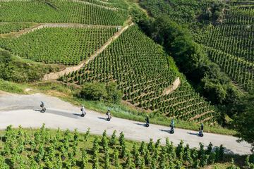 Vineyard