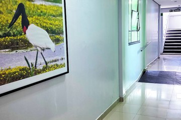 Handrails in hallways