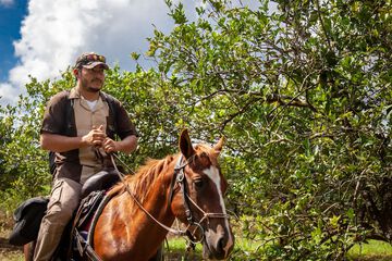 Horseback riding