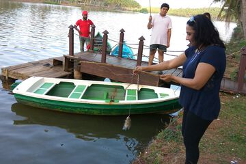 Dock