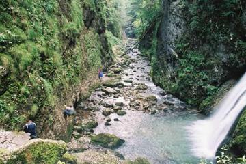 Photo 28