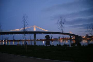 Photo 46