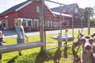 Children's activities