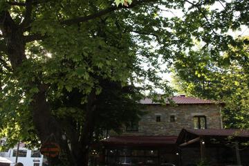 Photo 63
