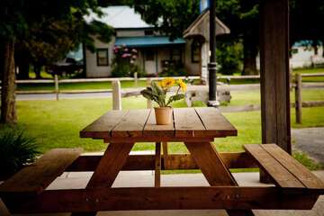 BBQ/picnic area