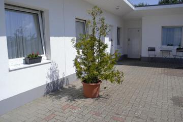 Photo 51