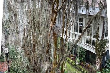 Hotel Exterior 162 of 166