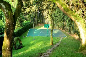Basketball court