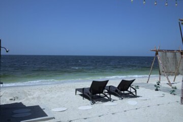 Beach or Ocean View