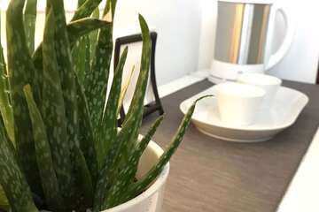 Interior detail