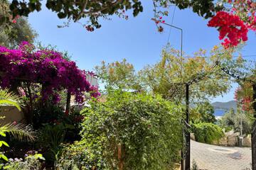 Photo 47