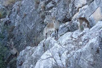 Photo 30