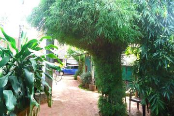Photo 26