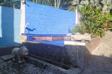 Natural pool