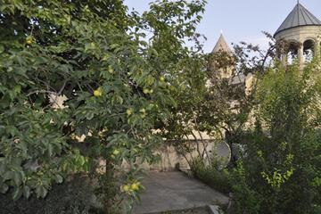 Photo 24