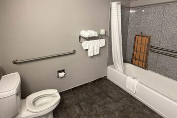 Accessible bathroom