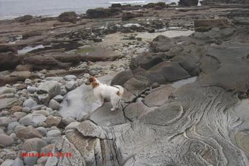 Photo 17