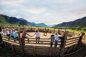 Horseback riding