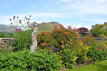 Photo 44