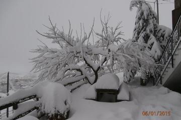 Photo 33