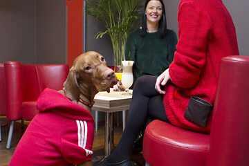 Pet-friendly