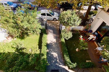 Garden view