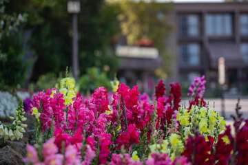 Property Grounds 30 of 30