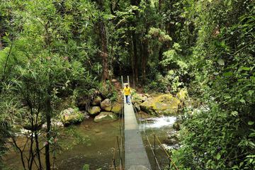 Hiking